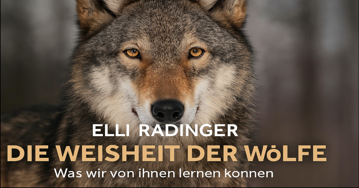 Die Weisheit der Wölfe von Elli H. Radinger – Was wir von ihnen lernen können